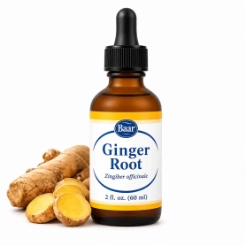 Ginger Root, Fluid Extract